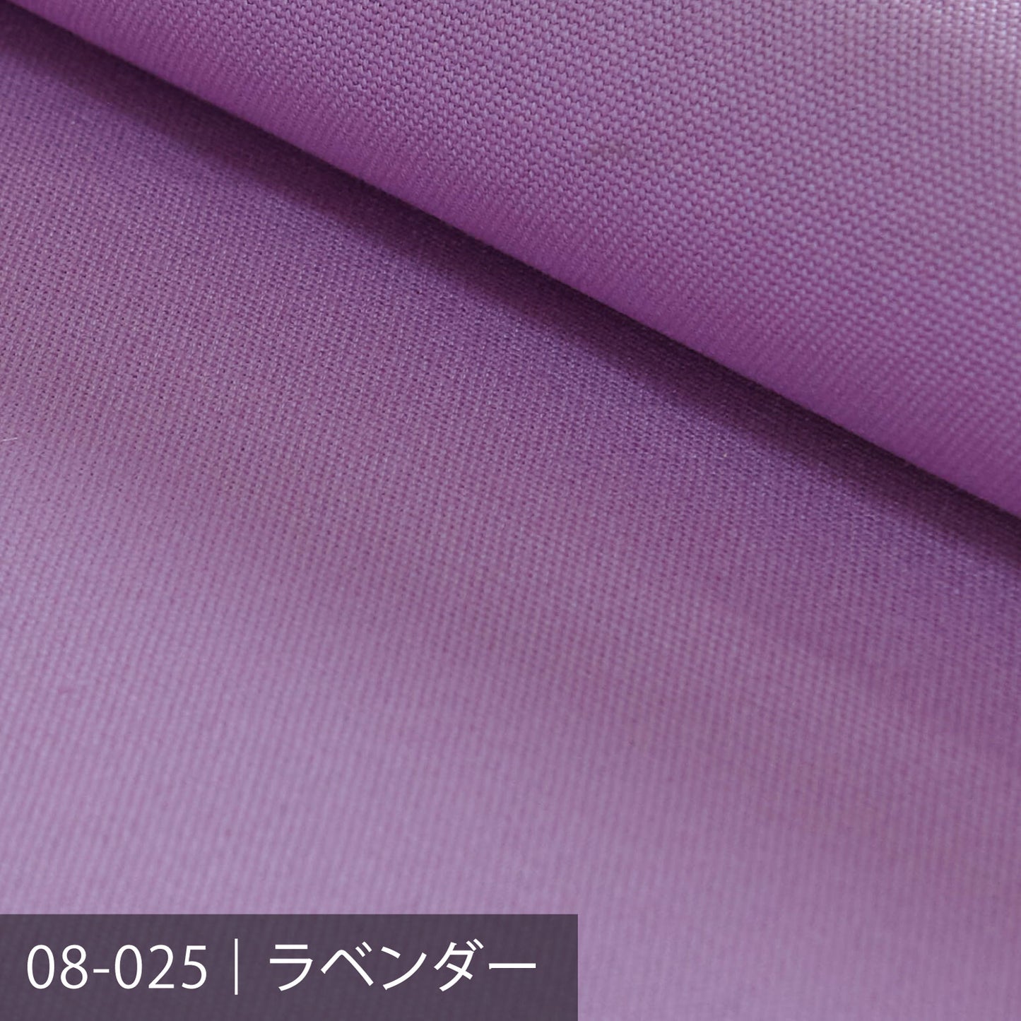 8号帆布／パープル系