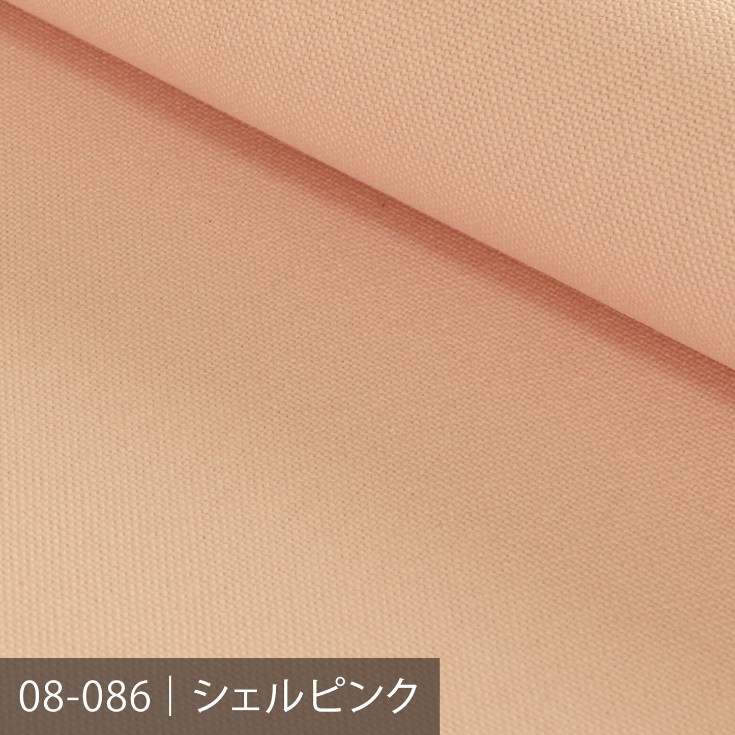 8号帆布／レッド系